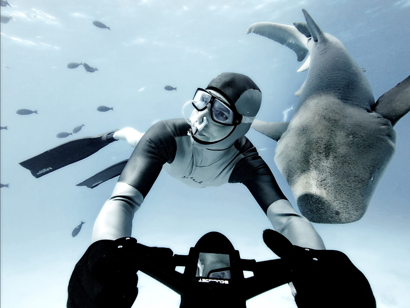 https://www.scubajet.com/media/%C2%A9SCUBAJET-ambassador-Herbert-Nitsch-Freediving-on-the-Maldives-1.jpg