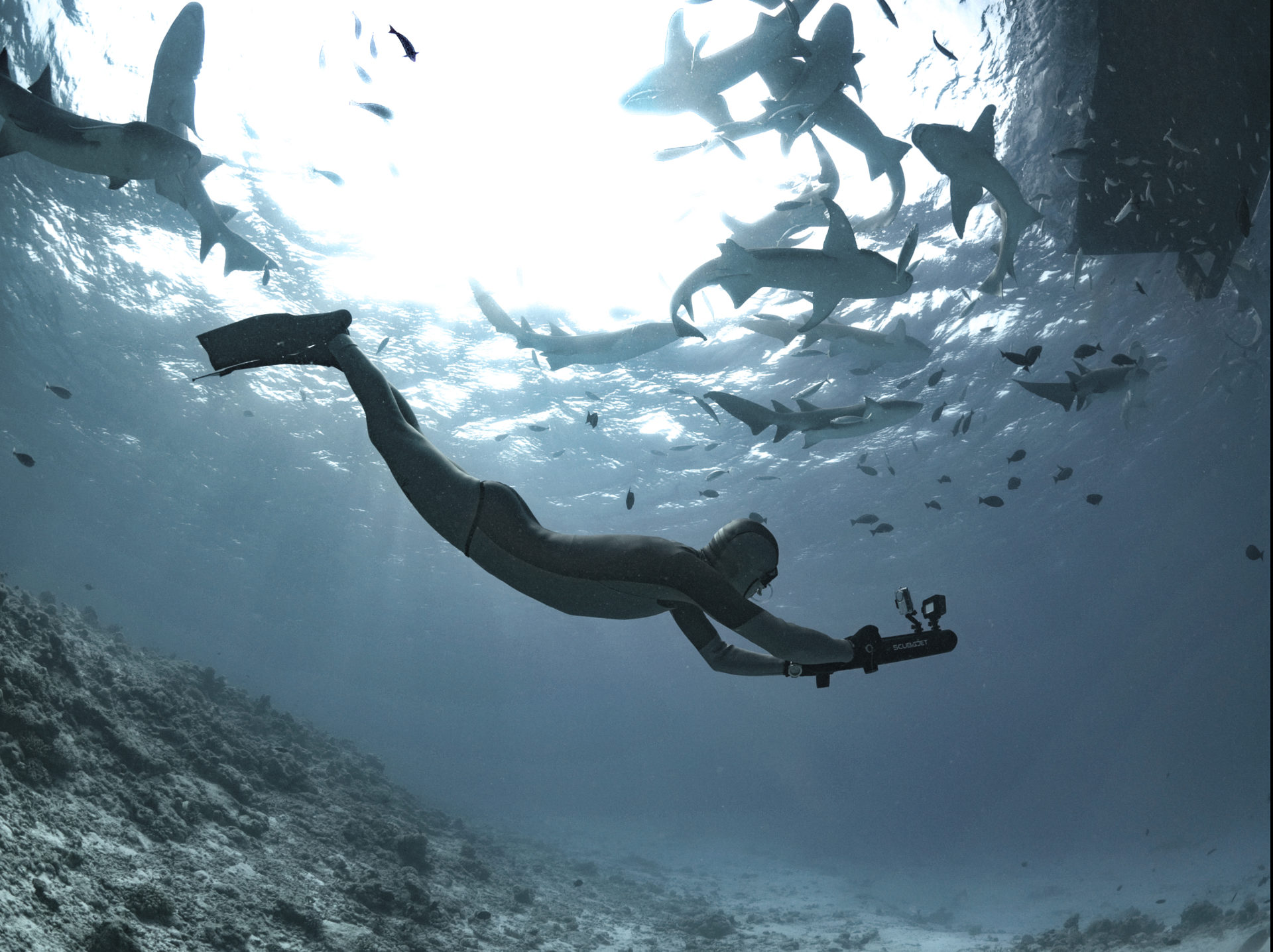 A word with freediver Herbert Nitsch